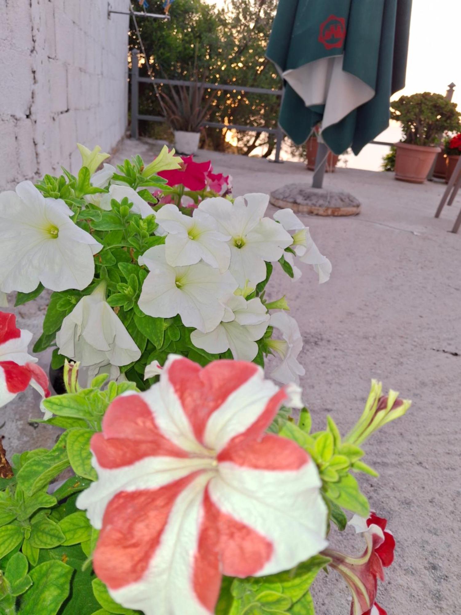 Amar Seaside Apartment Ksamil Luaran gambar